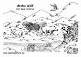 Tundra Biome Drawing Easy Sketch Coloring Page sketch template