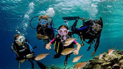 3 Best Places To Scuba Dive