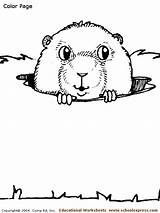 Gopher Coloring Pages sketch template