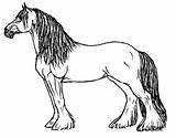 Clydesdale Horse Coloring Pages At GetColorings Free Printable  sketch template
