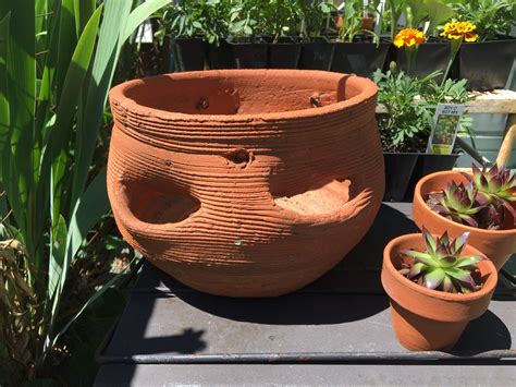 Succulent Pots, Succulents, Planter Pots, Clay Flower Pots, Clay Pots ...