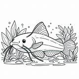 Catfish Coloring Pages For Children  Day Dream Colors sketch template