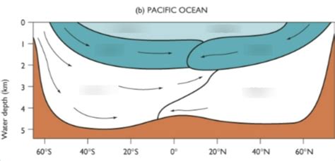 Pacific Ocean currents Diagram | Quizlet