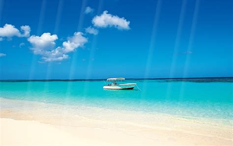 Free download Download Summer Beach Animated Wallpaper DesktopAnimatedcom [1383x867] for your ...