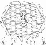 Bee Honeycomb And Flowers Coloring Page PDF Digital  Nation sketch template
