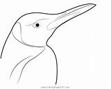 King Penguin Coloring Page sketch template