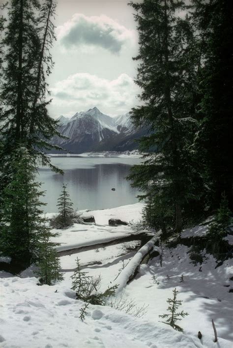 Medicine Lake, Jasper 1990 | Winter scenery, Beautiful landscapes, Nature