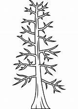 Bare Tree coloring Page  ColouringPages sketch template