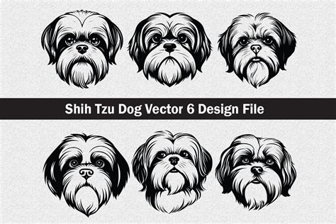 Shih Tzu Dog Vector SVG Graphic by Jennadesignsstore · Creative Fabrica