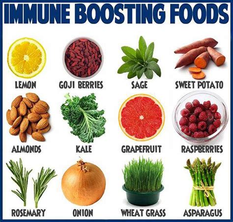 Foods that boost #immune system #health #tips - scoopnest.com