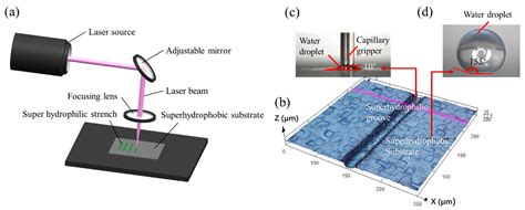 Micromachines | Free Full-Text | Low-Cost Laser Micromachining Super Hydrophilic–Super ...