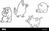 Easy coloring Page Of Cute Pigs  Icon Sheet Vector Design sketch template