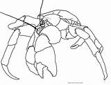 Crab Coloring Page Cantankerous Crustaceans  Nation sketch template