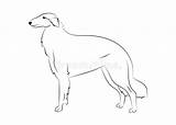Russian Borzoi Hunting Breed Dogs Coloring Book Page Vector  sketch template