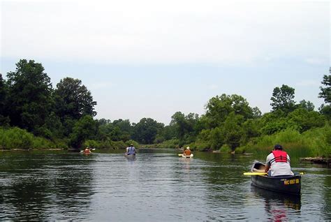 Little Manistee River | Manistee County Tourism - Manistee, Michigan