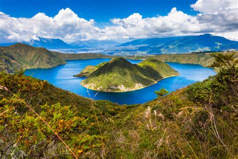 20+ Cui Ecuador Fotografías de stock, fotos e imágenes libres de derechos - iStock