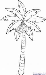 Banana Tree Coloring Page sketch template