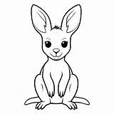 Premium Vector  Cute Baby kangaroo For coloring Book Or Page sketch template