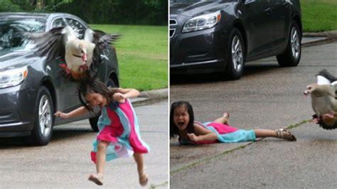 Goose attack on 5-year-old Houston girl goes viral - 6abc Philadelphia