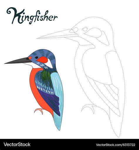 Kingfisher Bird Drawing