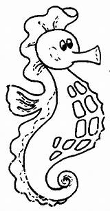 Fat Seahorse With A Sizable Pouch Coloring Page  Kids Play Color sketch template