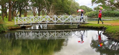 Stories - 5 things you didn’t know about Centennial Park’s ponds - Centennial Parklands