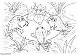 Tadpole Coloring Pages sketch template