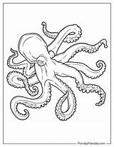 26 Octopus Coloring Pages Free PDF Printables sketch template