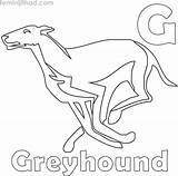 Greyhound Coloring Pages PDF  Coloringfoldercom sketch template