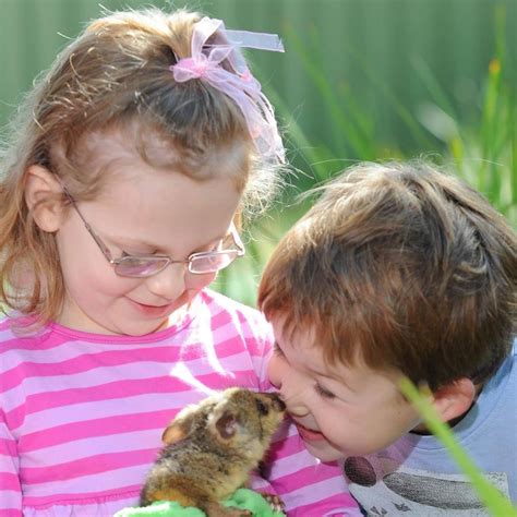 The Point Preschool | Sydney NSW