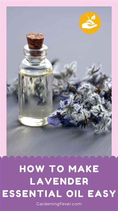 Lavender Oil Diy, Lavender Essential Oil Diy, Floral Essential Oils, Making Essential Oils ...