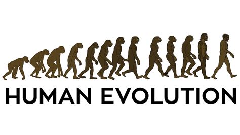 Human Evolution Animation. - YouTube