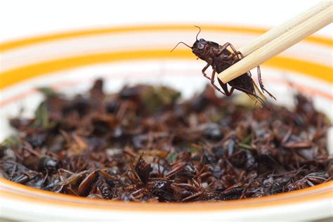 Crickets. It’s what’s for dinner. | PacGourmet