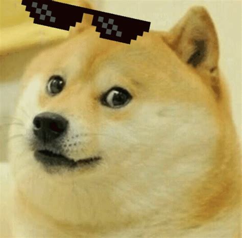 Doge Deal With It GIF - Doge DealWithIt TooBad - Discover & Share GIFs