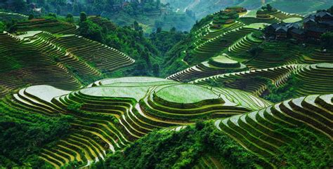 Longsheng rice terraces – guided tours of Longsheng and Ping’An