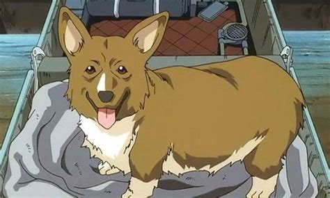 Cute Anime Dog Names / But menchi, whose name literally means mincemeat, steals this one away ...