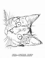 Realistic Cat Coloring Pages Sketch Page sketch template
