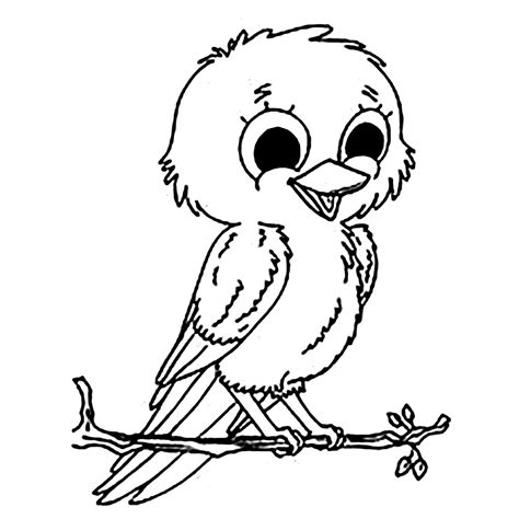 Little bird - Bird Coloring Pages for Kids