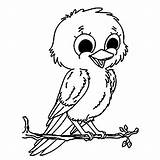 Birds Printable Coloring Pages sketch template