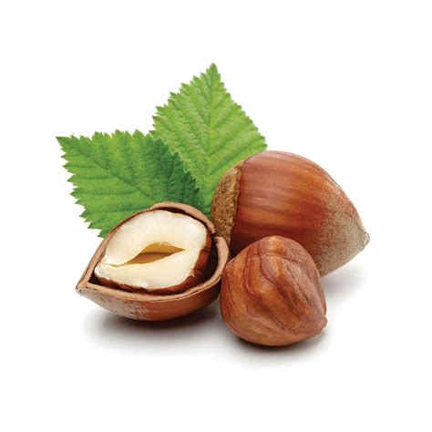 Hazelnuts bulk shelled, raw and roasted – Vitana