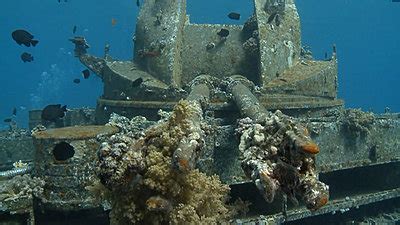 Artificial coral reefs in the Gulf of Aqaba - An underwater documentary at DVinfo.net