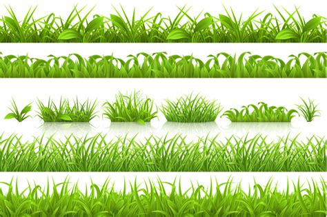 Spring grass, vector set and pattern. Nature in the summer. Garden By Allevinatis Studio ...