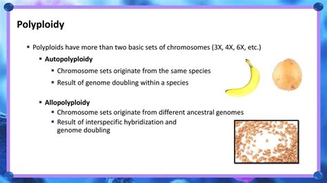 Ploidy – Part 1: An Overview - ppt download