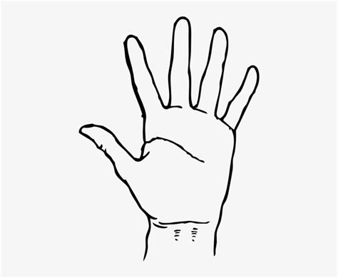 Plain Hand Clip Art At Vector Clip Art Png - Hand Clipart Black And White PNG Image ...