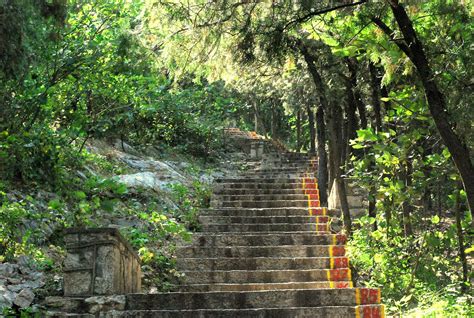 Stair Steps Free Stock Photo - Public Domain Pictures
