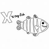X Ray Fish Coloring Page  Coloring Home sketch template