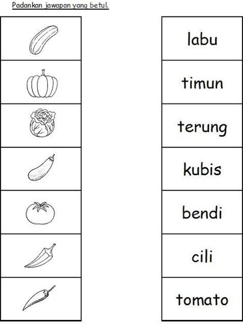 Lembaran Kerja Tema Sayur-Sayuran Prasekolah / Sayur Sayuran Tidak Berdaun - Dane Hahn