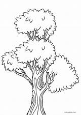 Free Printable Tree Coloring Pages For Kids  Cool2bKids sketch template