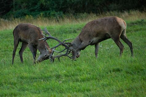 Horton Plains National Park - WILD LANKA TOURS