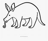Anteater Coloring Aardvark Pages Printable Drawing Animal Color  sketch template